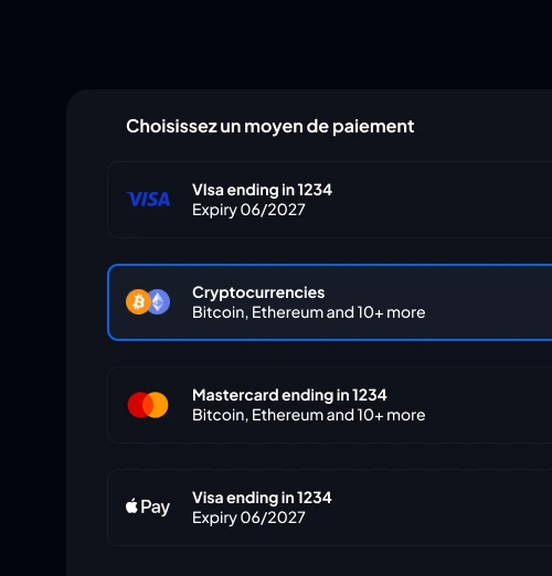 Interface de paiement conçue par Pixel Plug, incluant une option de règlement en crypto-monnaie, illustrant l’essor du Web3 et des transactions décentralisées.